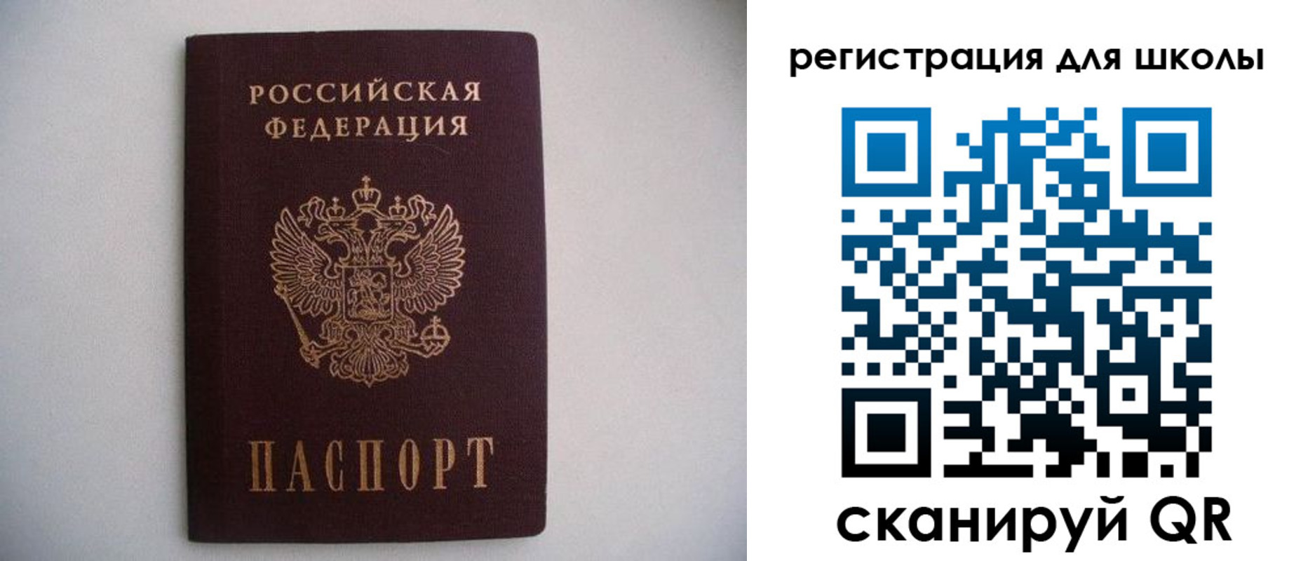 прописка поиск в Пионерском